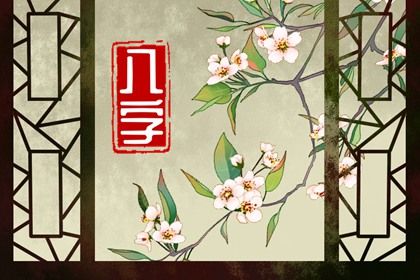 如何阅读一份排盘